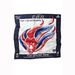 ParalympicsGB supporters scarf - large